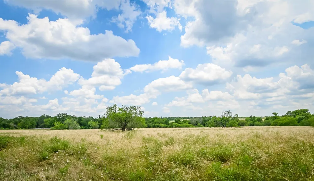 County Road 447 Waelder, TX 78959