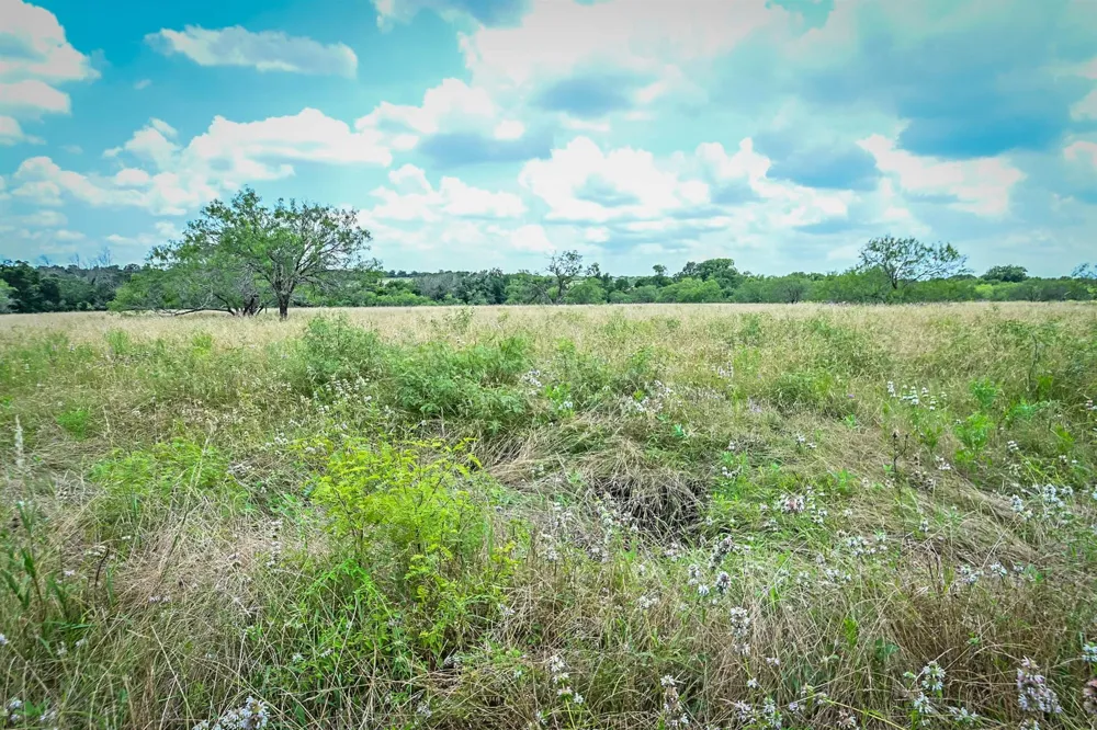 County Road 447 Waelder, TX 78959