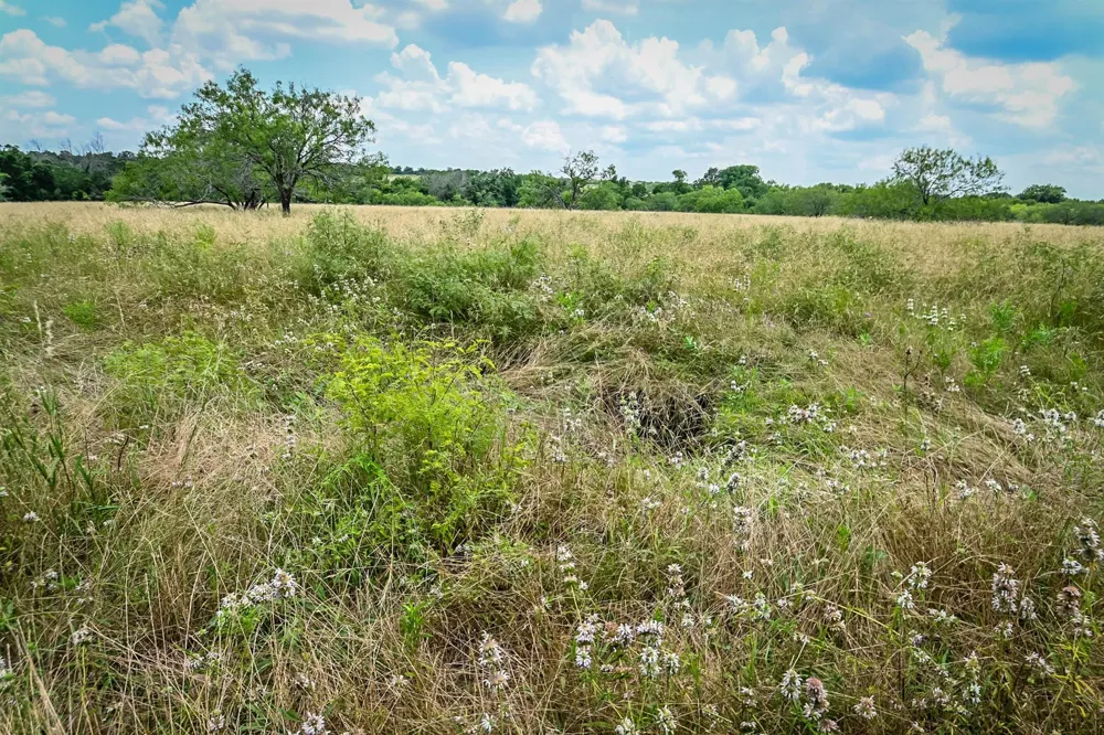 County Road 447 Waelder, TX 78959