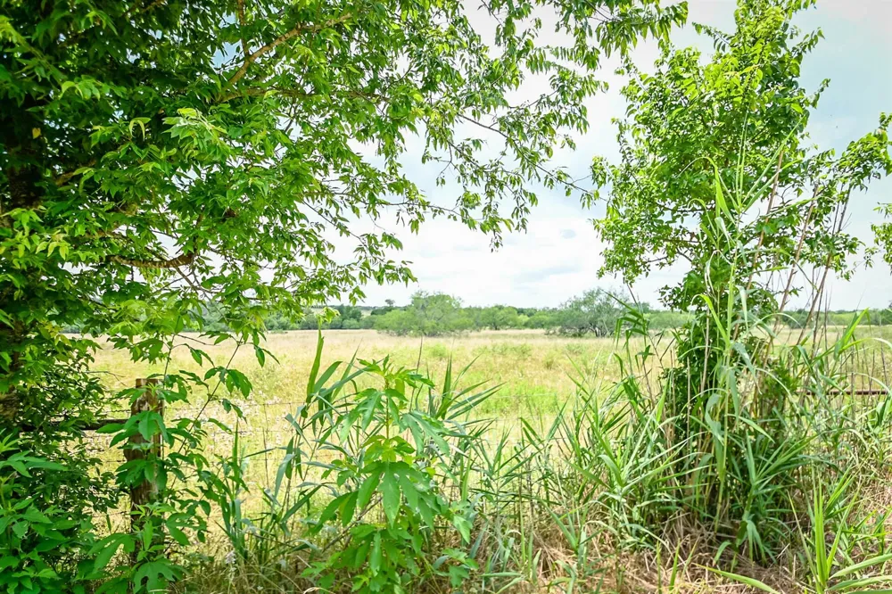 County Road 447 Waelder, TX 78959