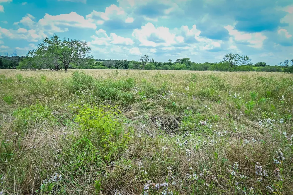 County Road 447 Waelder, TX 78959