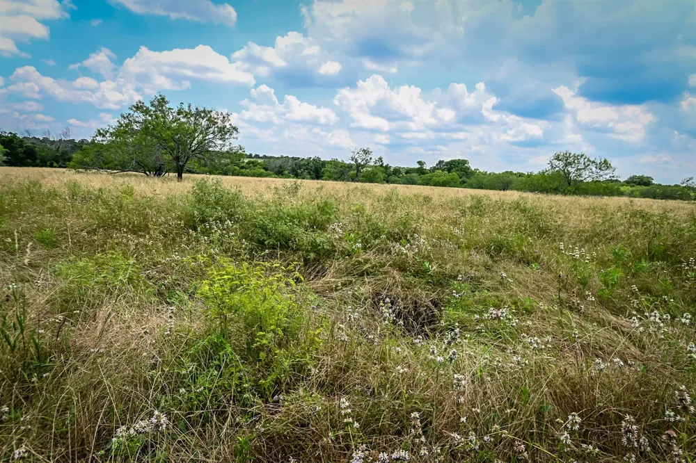 County Road 447 Waelder, TX 78959