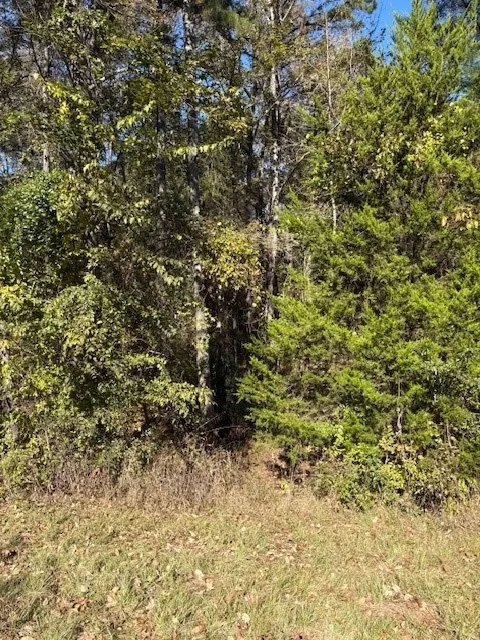 17851 Fm 3079 Chandler, TX 75758