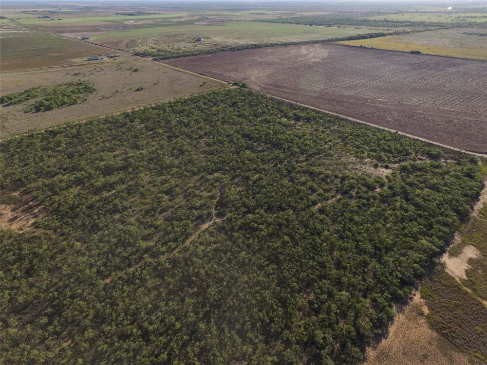 FM 1224 Roby, TX 79543