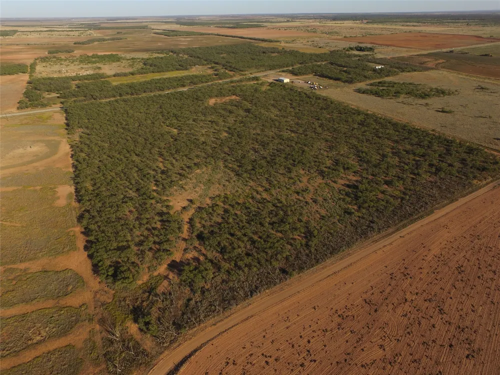FM 1224 Roby, TX 79543