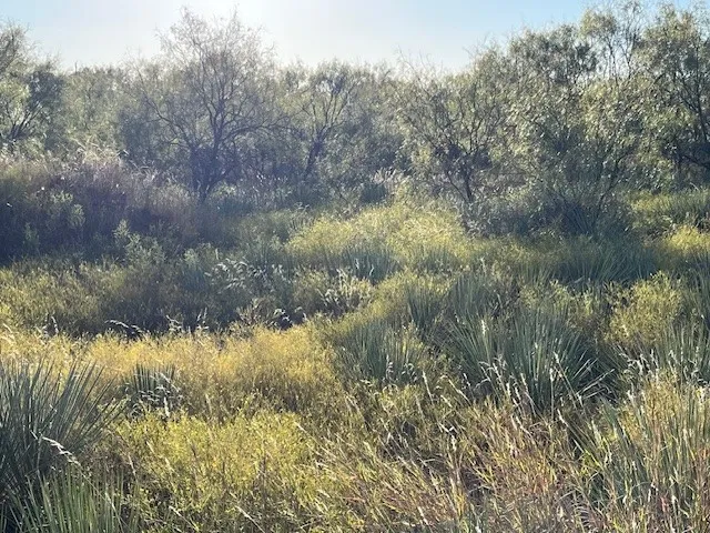 FM 1224 Roby, TX 79543