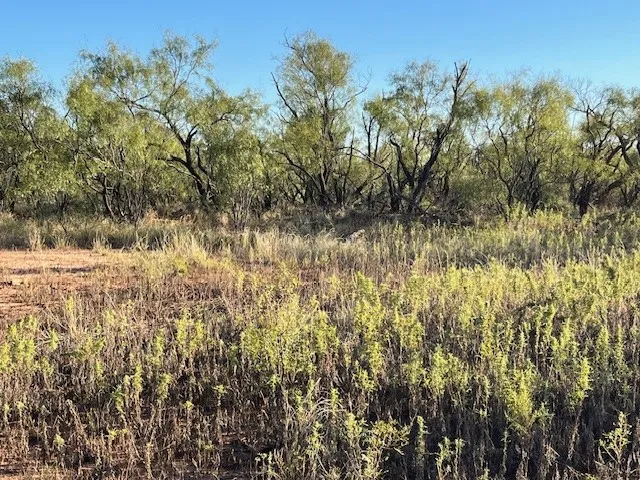 FM 1224 Roby, TX 79543