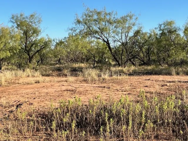 FM 1224 Roby, TX 79543