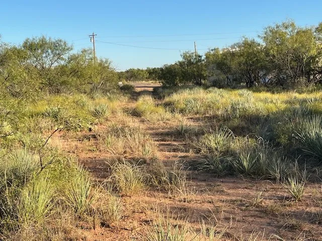 FM 1224 Roby, TX 79543