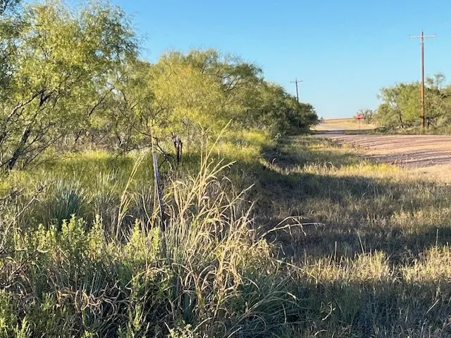FM 1224 Roby, TX 79543