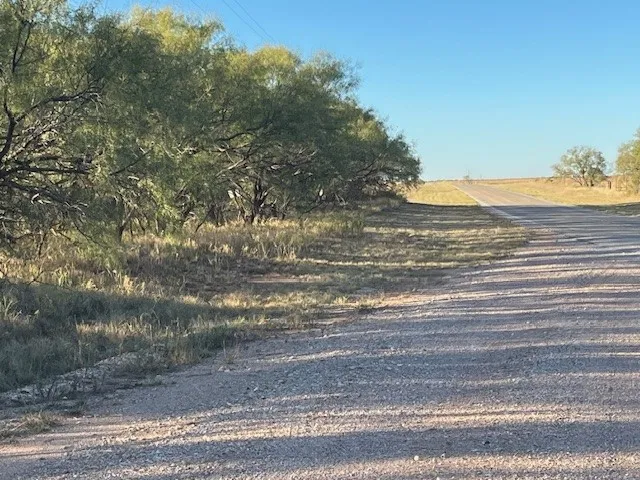 FM 1224 Roby, TX 79543