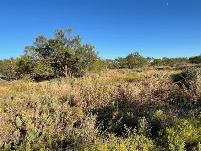 FM 1224 Roby, TX 79543