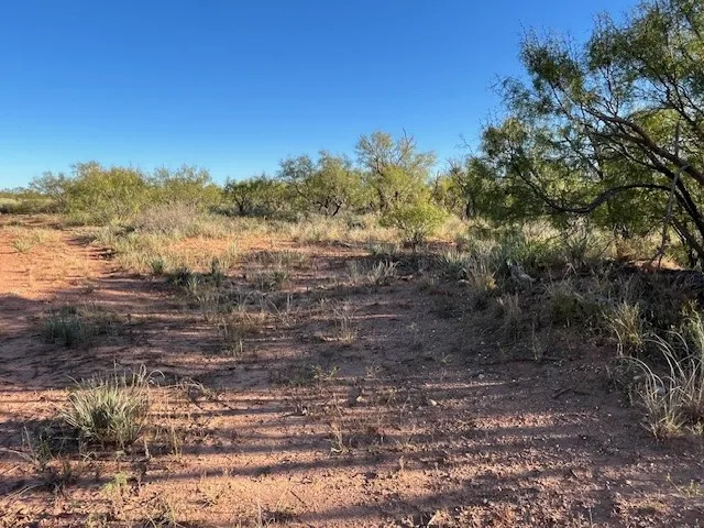FM 1224 Roby, TX 79543