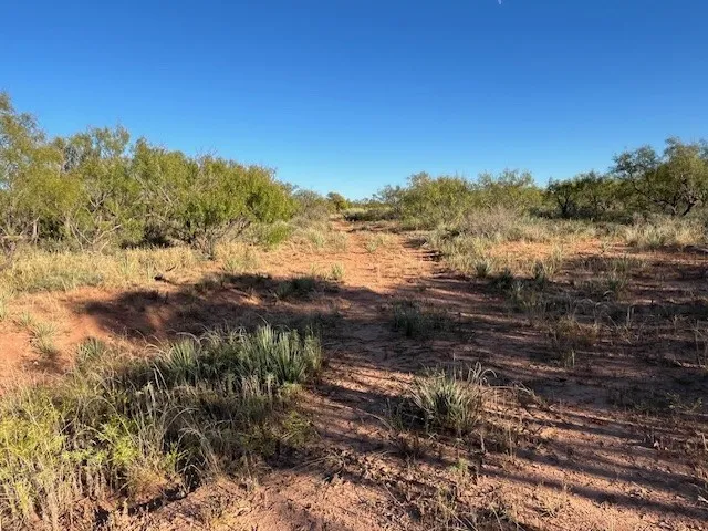FM 1224 Roby, TX 79543