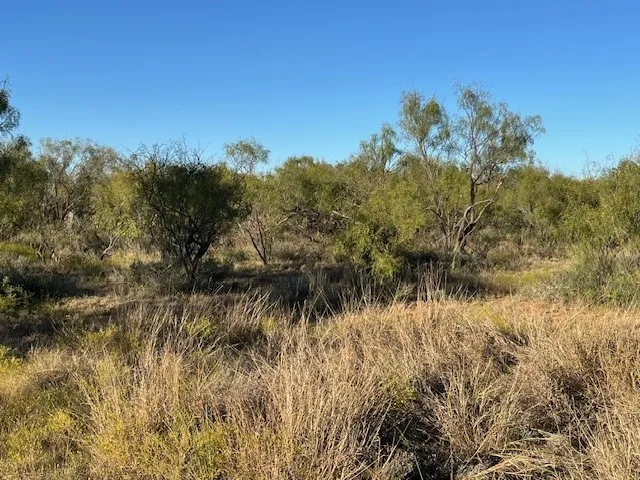FM 1224 Roby, TX 79543