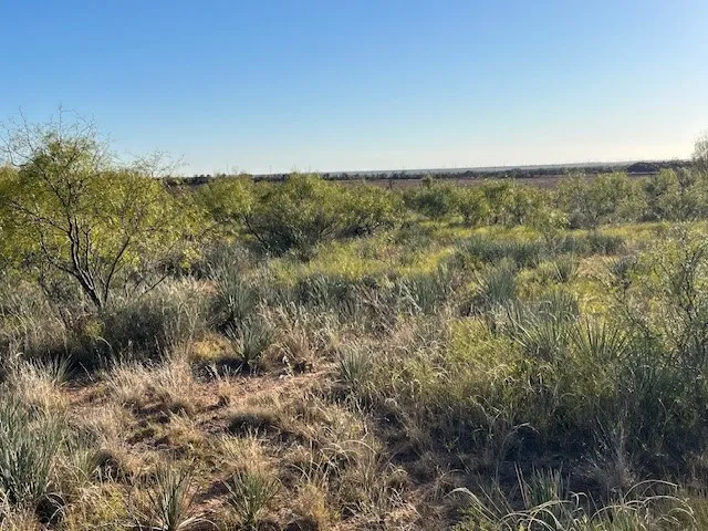 FM 1224 Roby, TX 79543