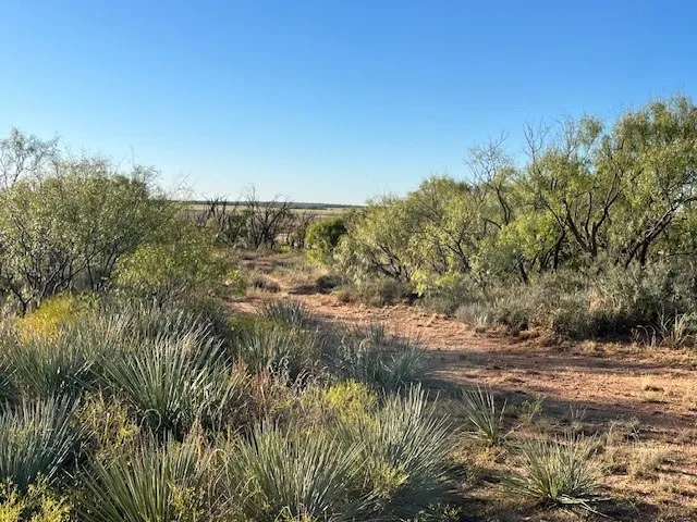 FM 1224 Roby, TX 79543