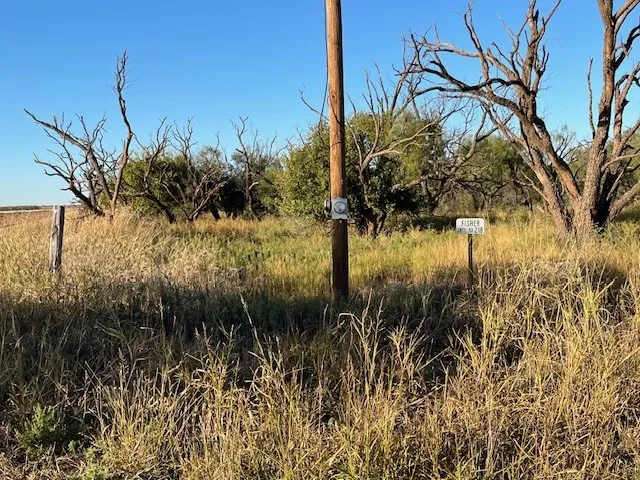FM 1224 Roby, TX 79543
