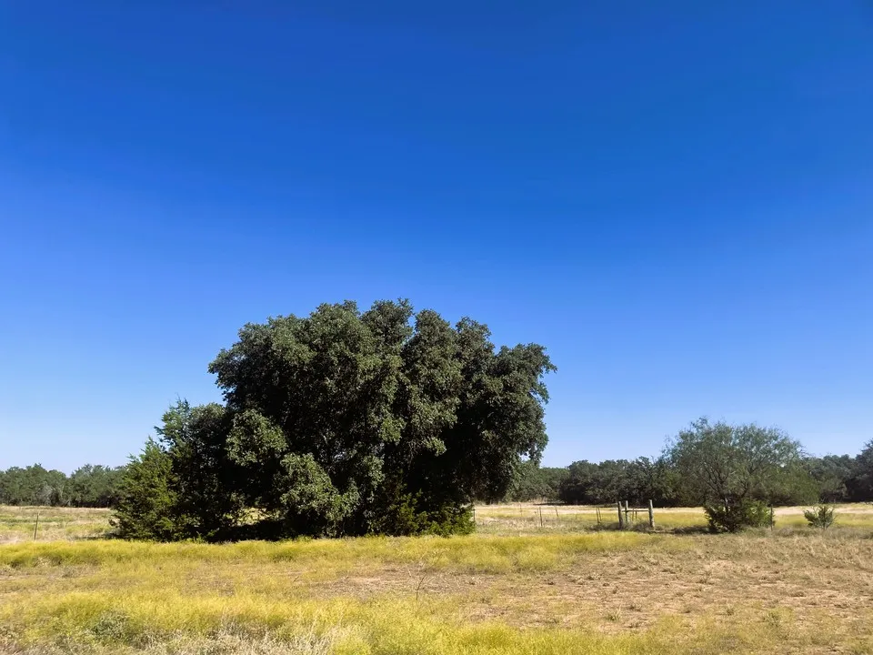 1276 Fm 574 W Mullin, TX 76864