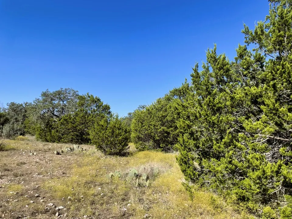1276 Fm 574 W Mullin, TX 76864