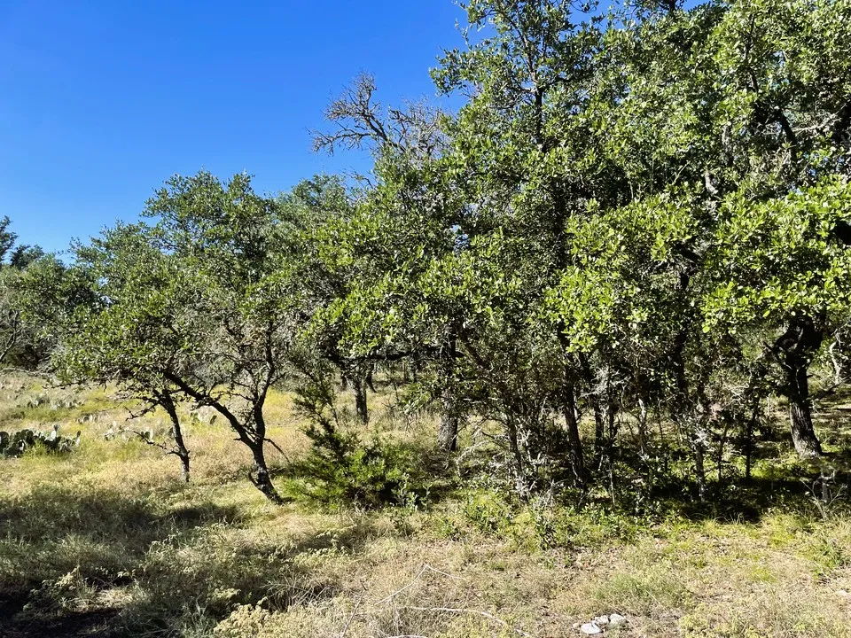 1276 Fm 574 W Mullin, TX 76864