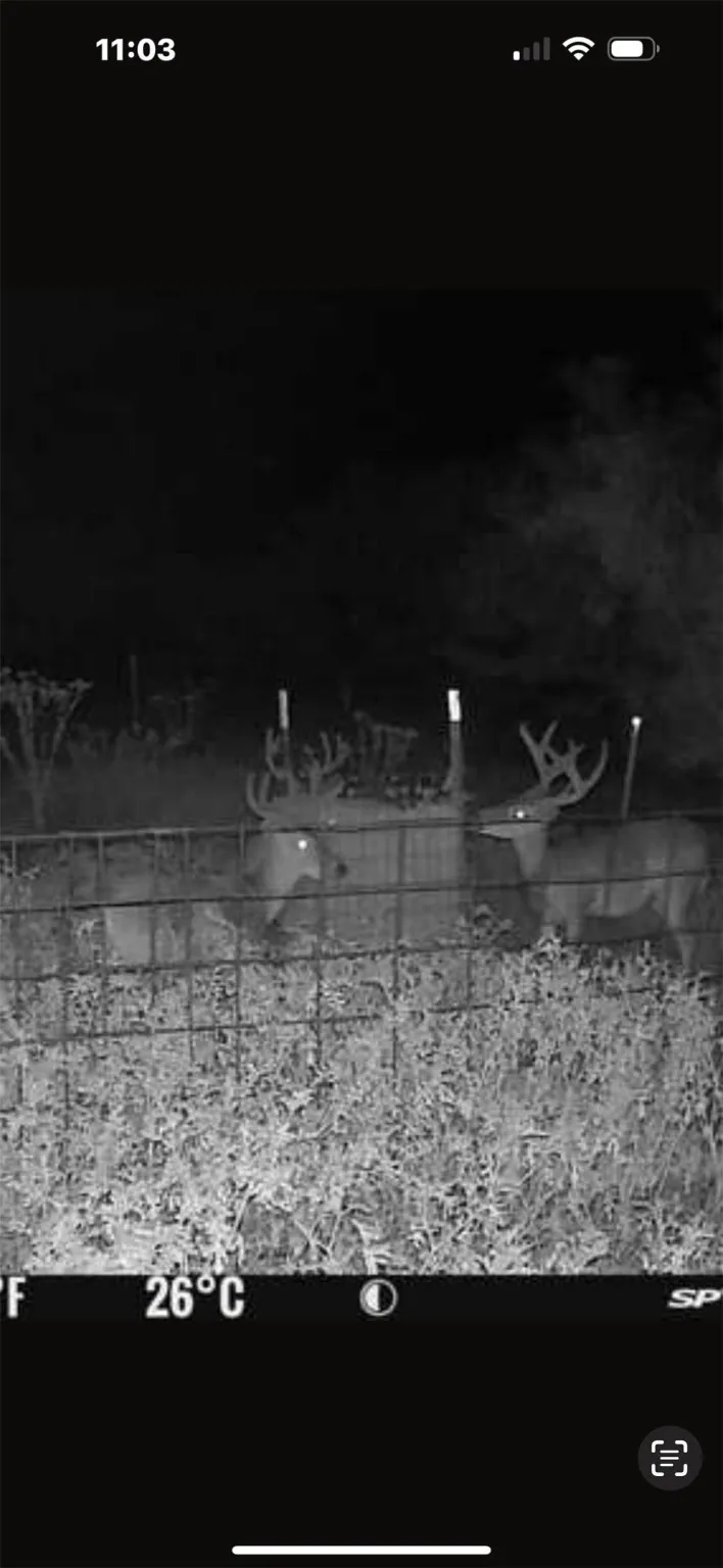 CR 424 Rochelle, TX 76872