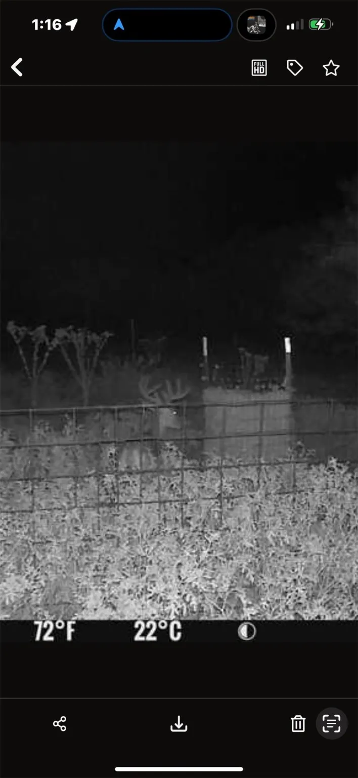 CR 424 Rochelle, TX 76872