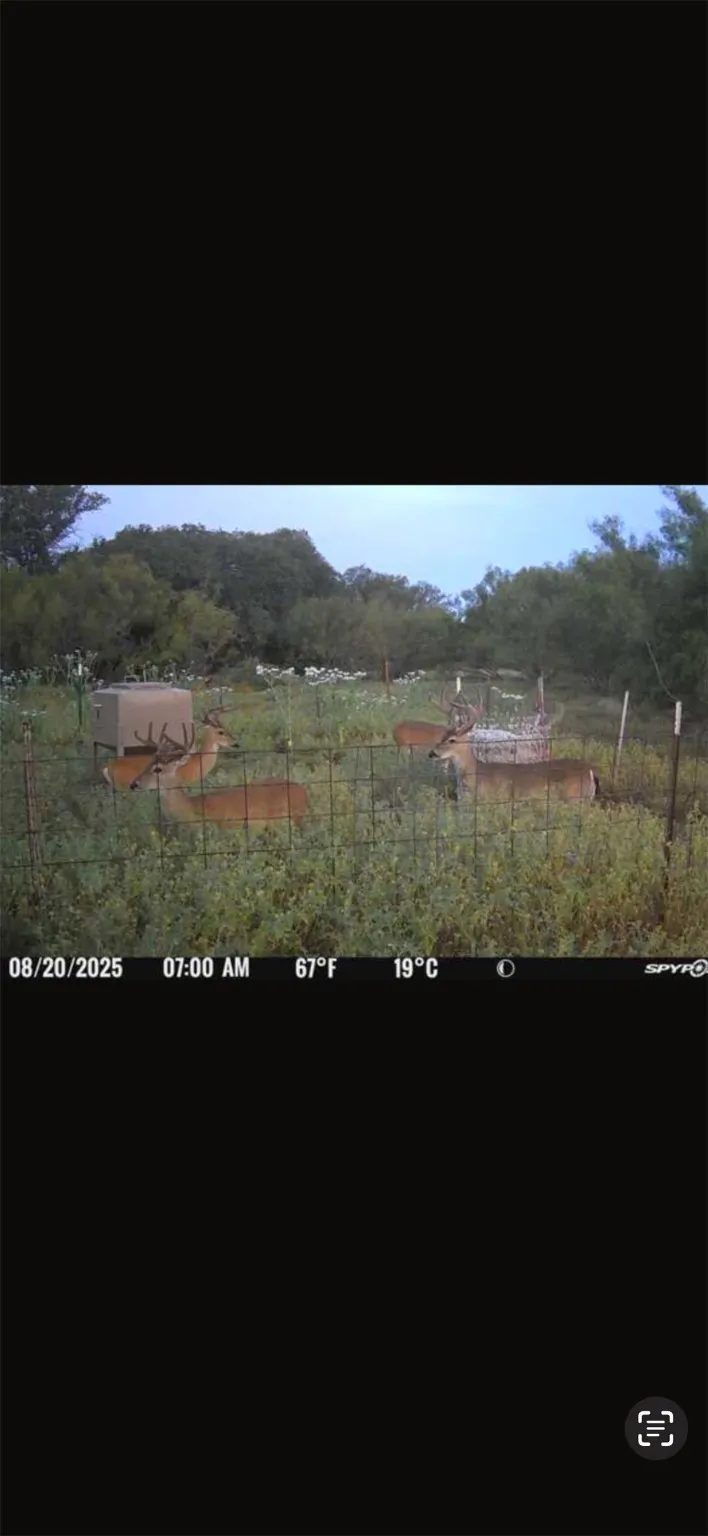 CR 424 Rochelle, TX 76872