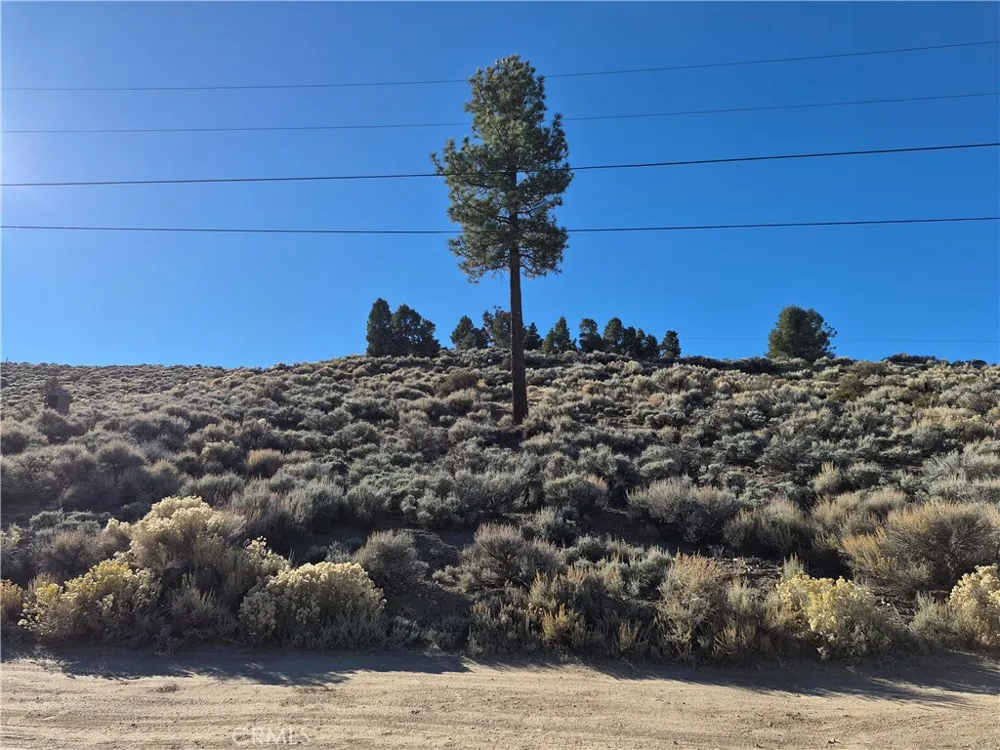 Rustic Canyon Big Bear City, CA 92314