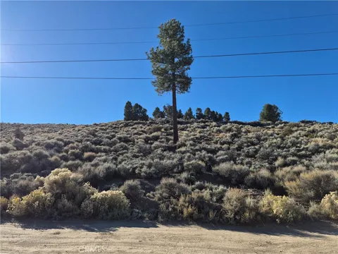 Rustic Canyon