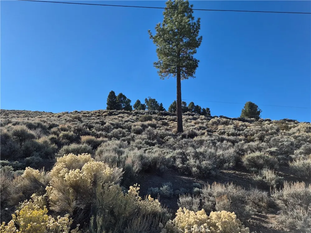 Rustic Canyon Big Bear City, CA 92314