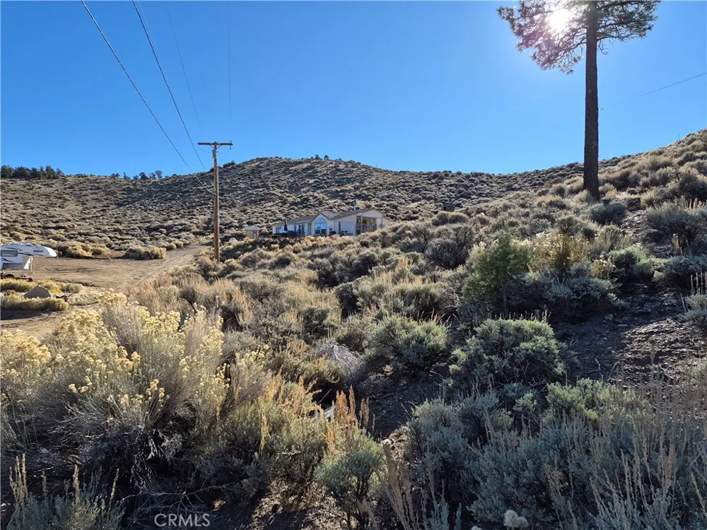 Rustic Canyon Big Bear City, CA 92314