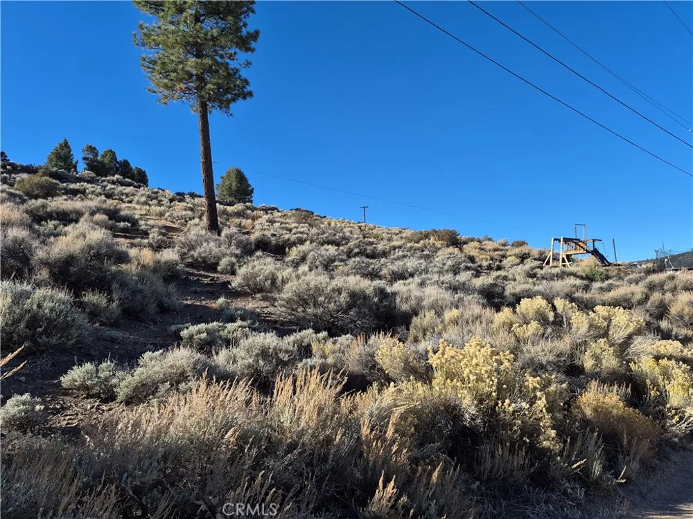 Rustic Canyon Big Bear City, CA 92314