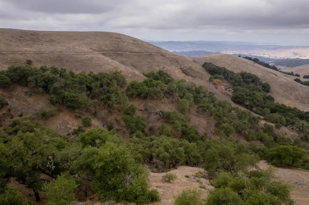 367 San Benancio Salinas, CA 93908