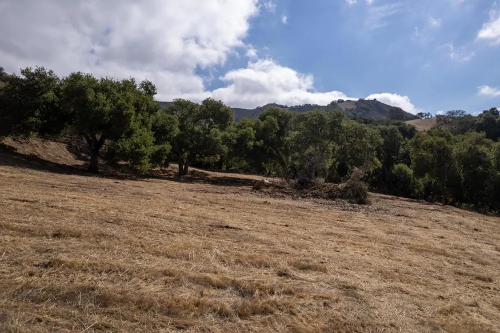 367 San Benancio Salinas, CA 93908