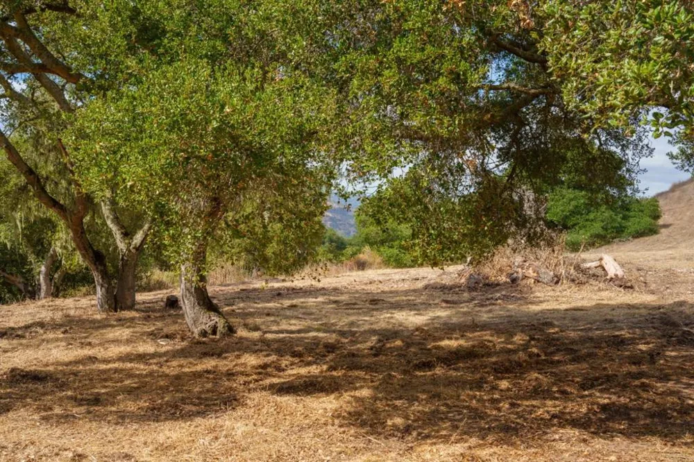 367 San Benancio Salinas, CA 93908