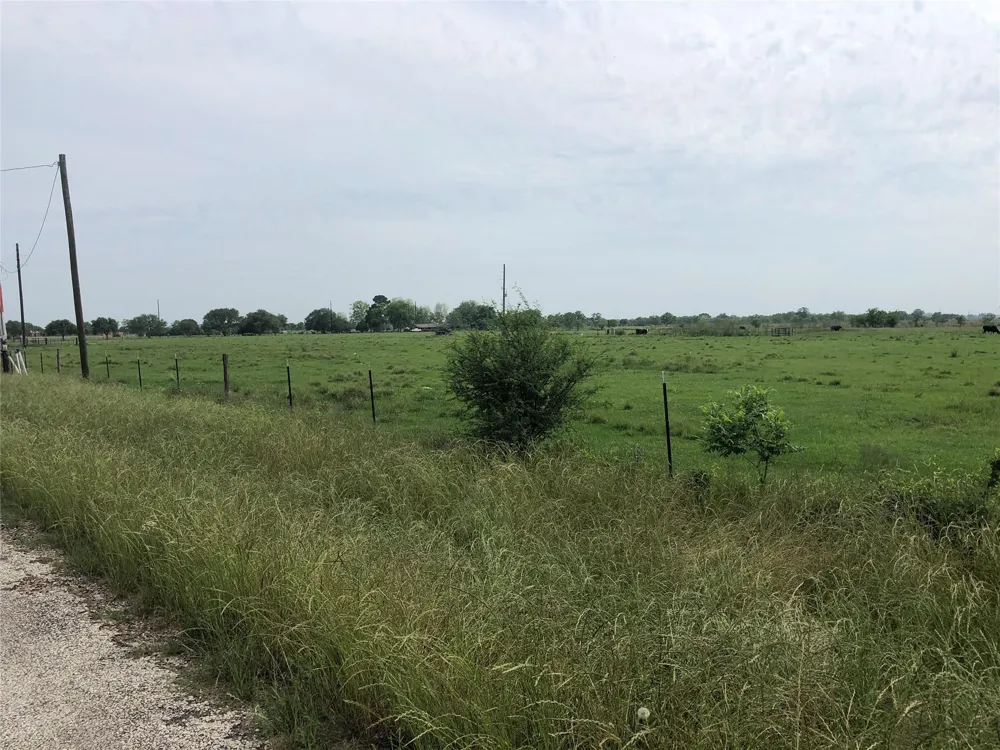 Daily Road Rosenberg, TX 77471