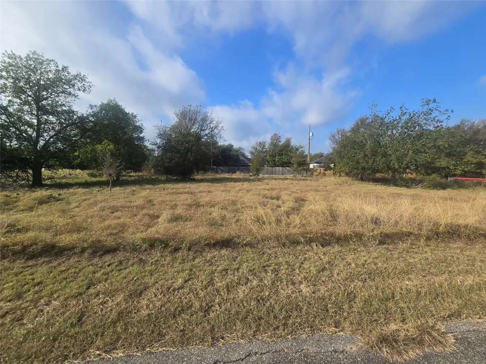 34 Blue Roan Drive Belton, TX 76513