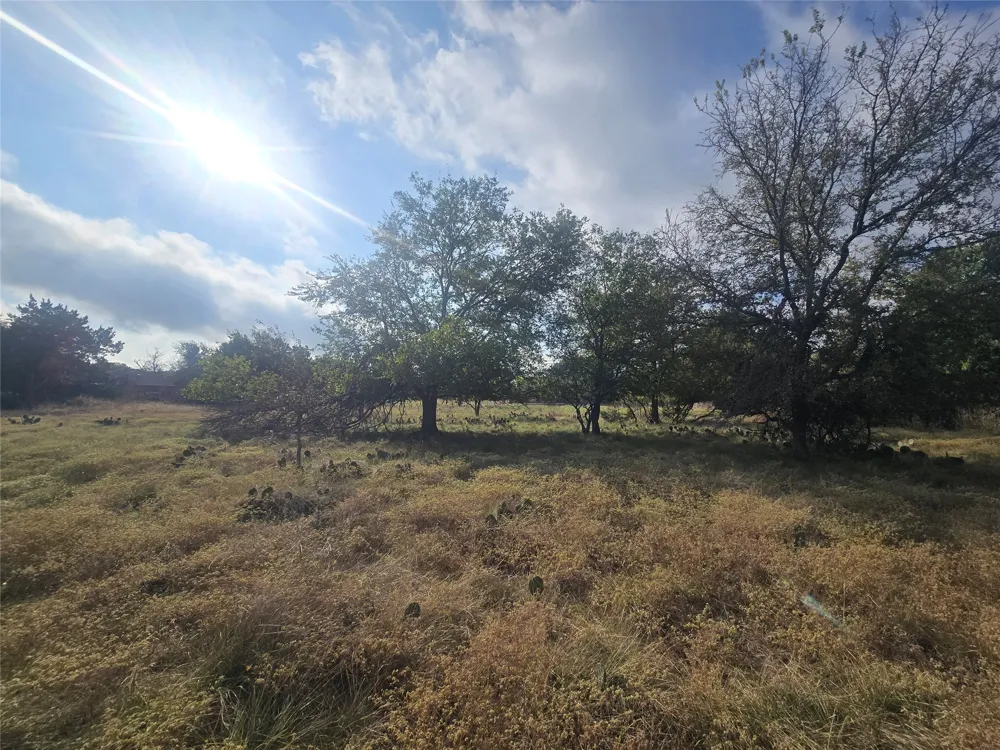 34 Blue Roan Drive Belton, TX 76513