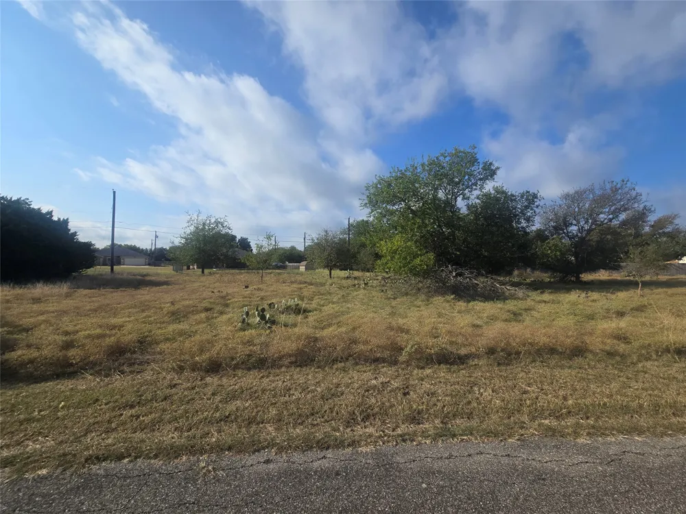 34 Blue Roan Drive Belton, TX 76513