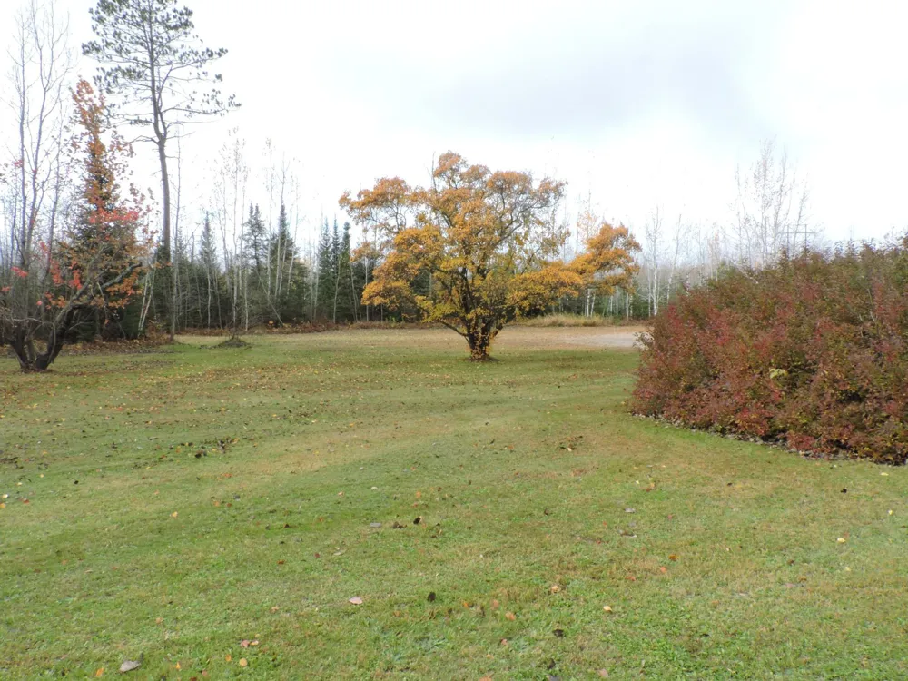 26389 Reilly Beach Road Bovey, MN 55709