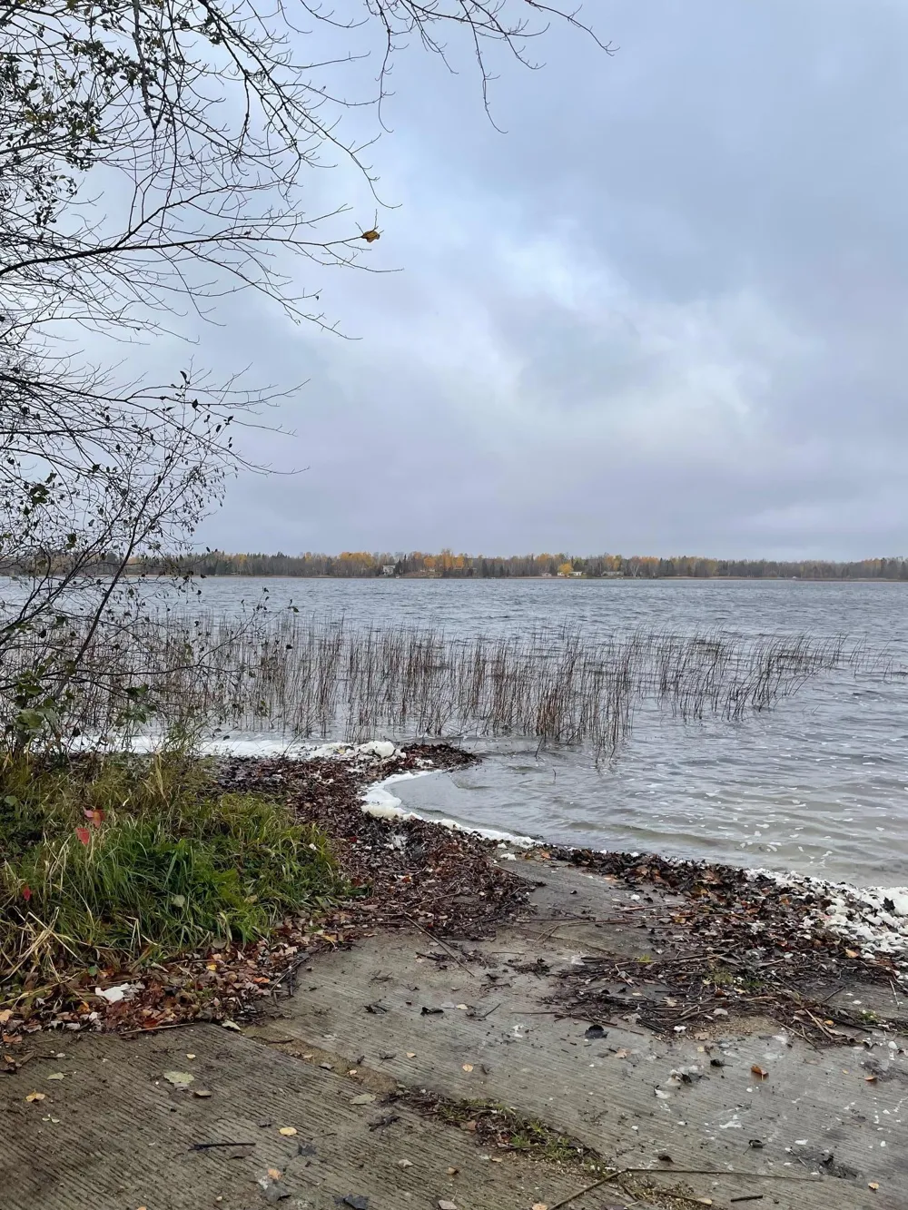 26389 Reilly Beach Road Bovey, MN 55709
