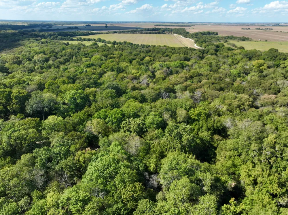 Lowell Road Milford, TX 76670