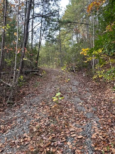 Tara Hills Whittier, NC 28789