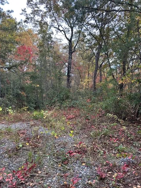 Tara Hills Whittier, NC 28789