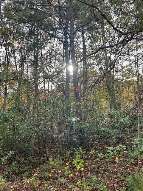 Tara Hills Whittier, NC 28789