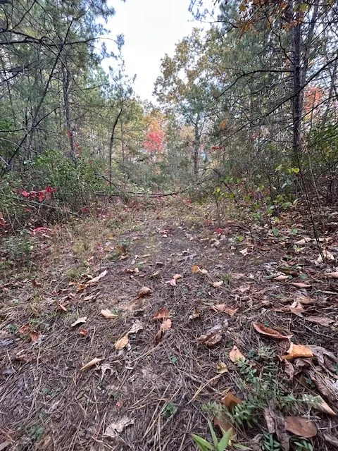 Tara Hills Whittier, NC 28789