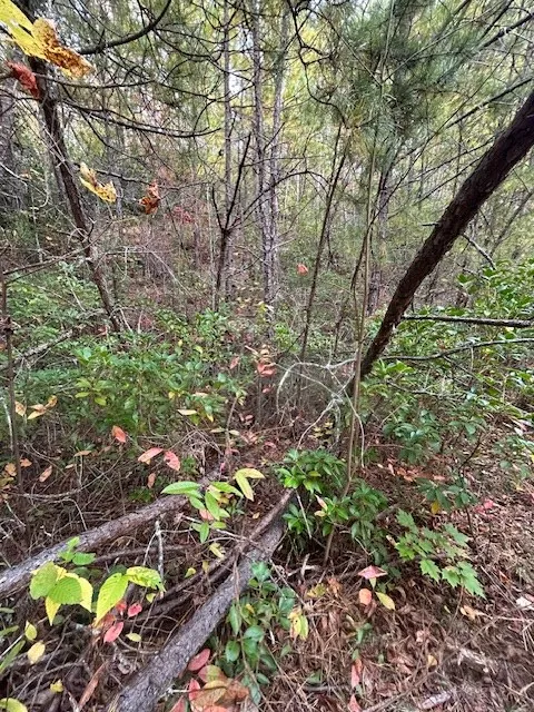 Tara Hills Whittier, NC 28789