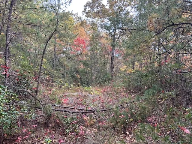 Tara Hills Whittier, NC 28789