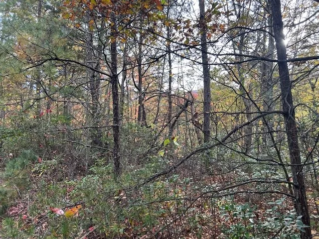 Tara Hills Whittier, NC 28789